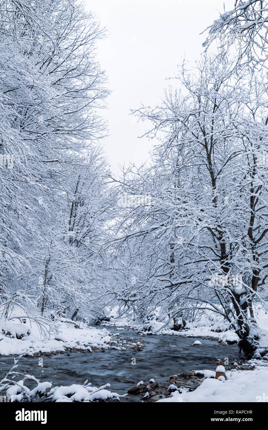 Winter landscape with a river and frosty trees Stock Photo - Alamy