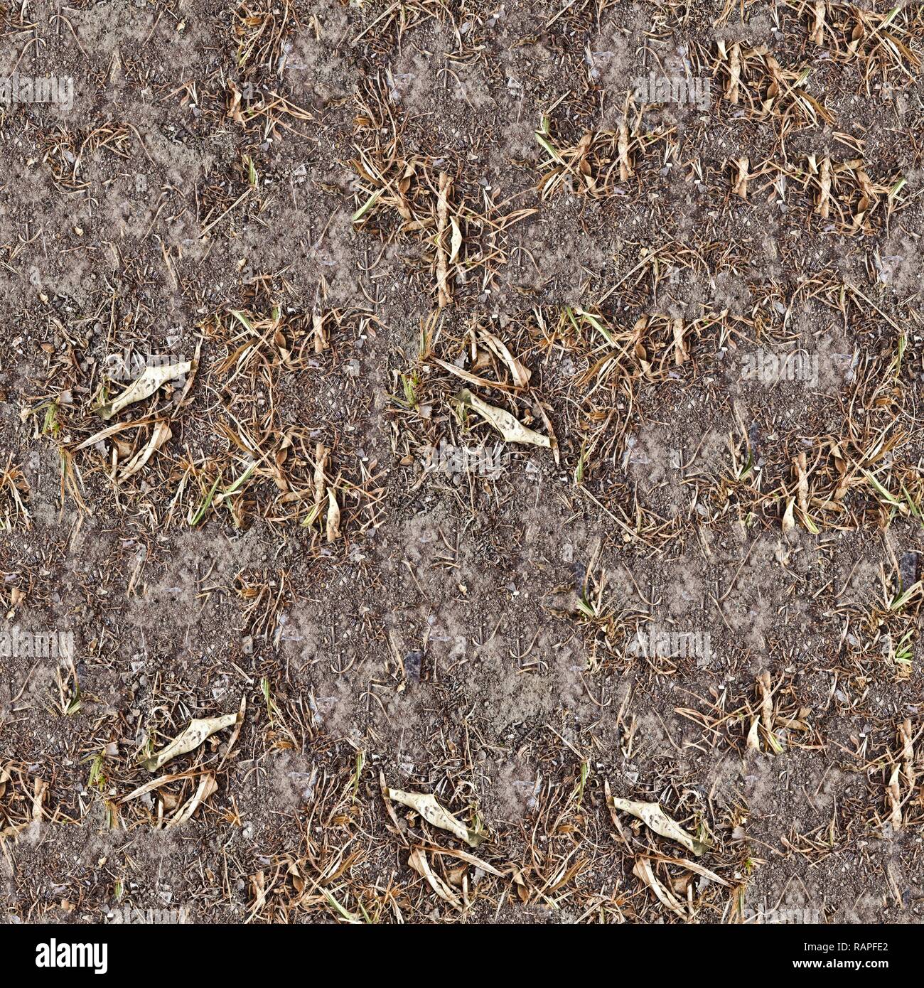 Seamless Green Grass Ground Pattern Background Texture Stock Photo - Alamy