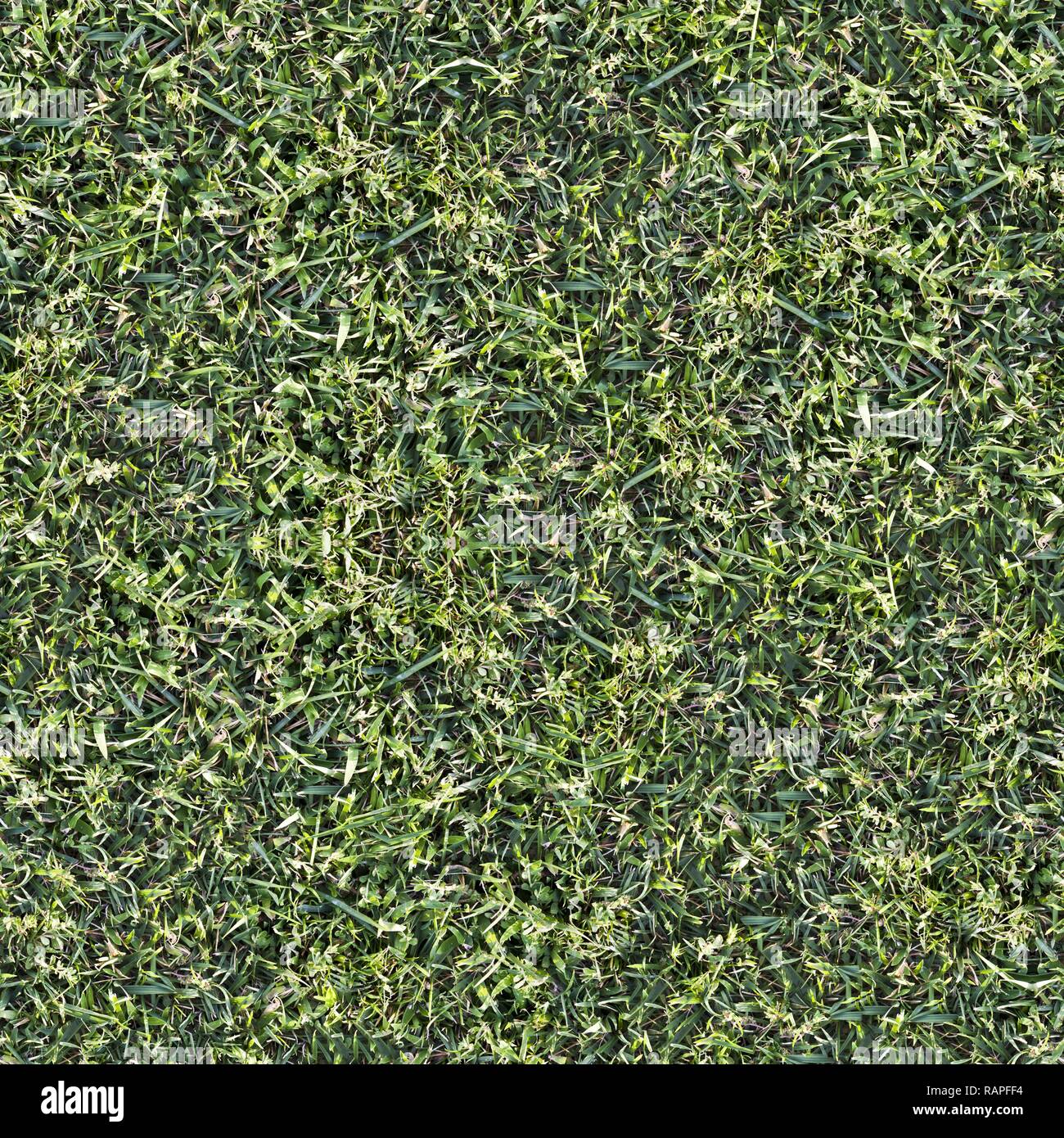 Seamless Green Grass Ground Pattern Background Texture Stock Photo - Alamy