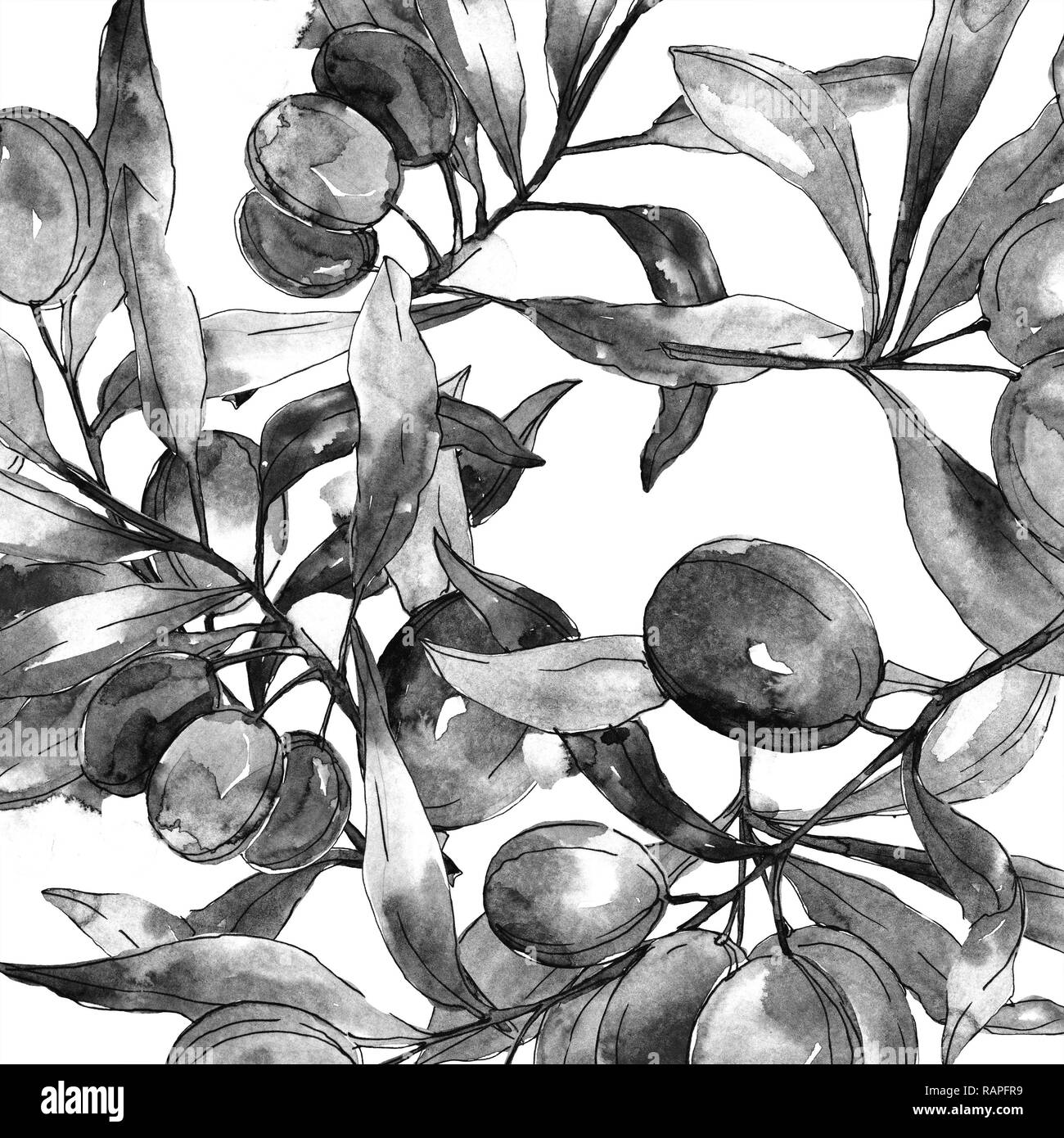 Black olive branch. Green leaf. Plant botanical garden floral foliage. Watercolor background illustration set. Seamless background pattern. Fabric wal Stock Photo
