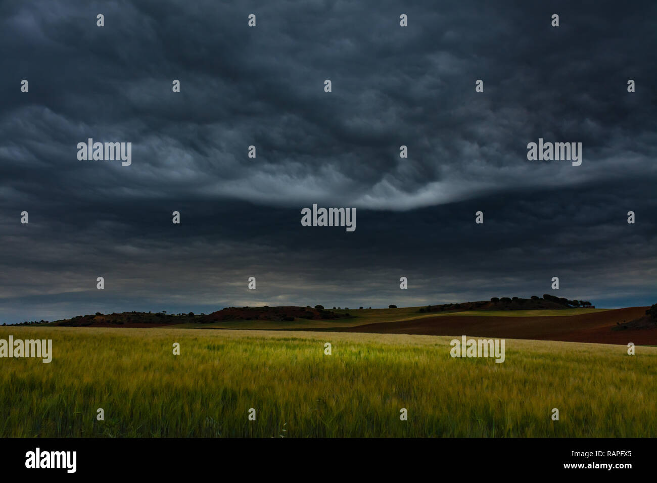 Cereal and wild fields with under a dark stormy sky Stock Photo
