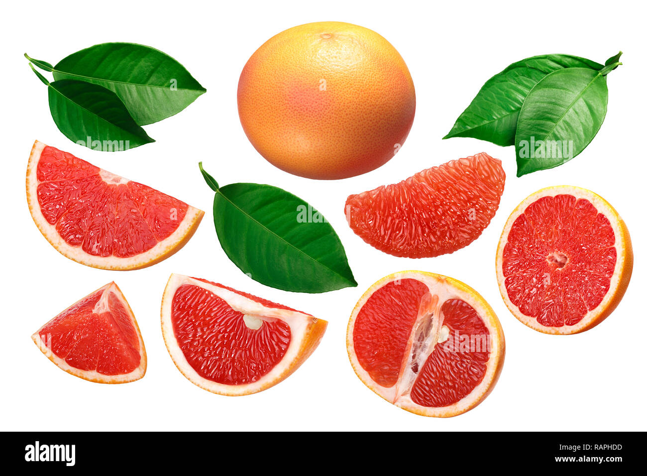Grapefruit (Citrus x paradisi), whole, sliced, peeled, pieces, leaves