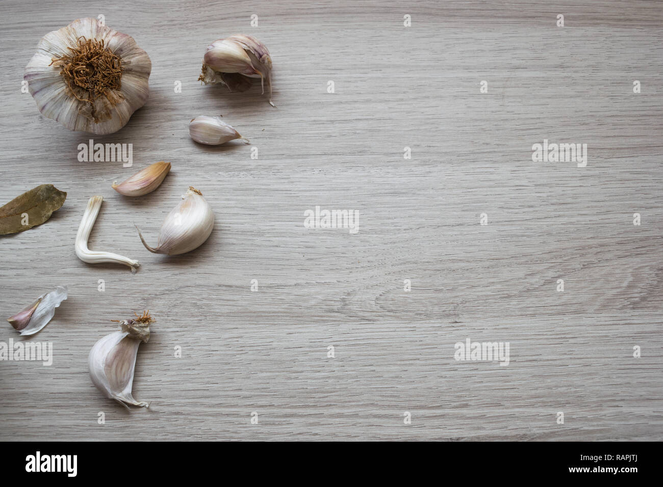 head and cloves of garlic on the left side of the image with space for ...