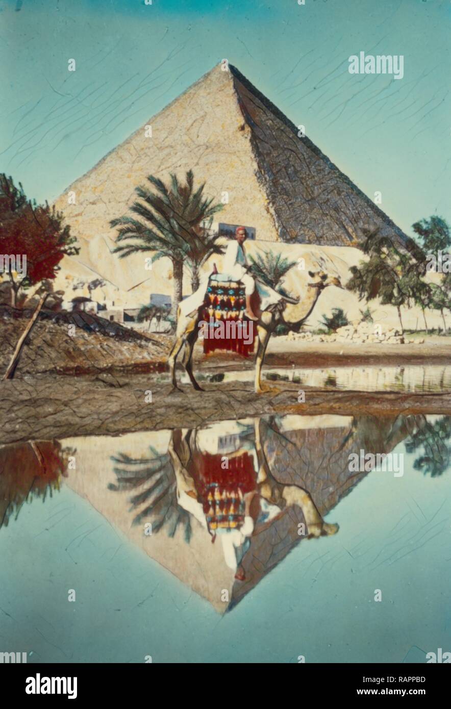 Pyramids. Pyramid & camel rider reflected in Nile overflow. 1950, Egypt ...