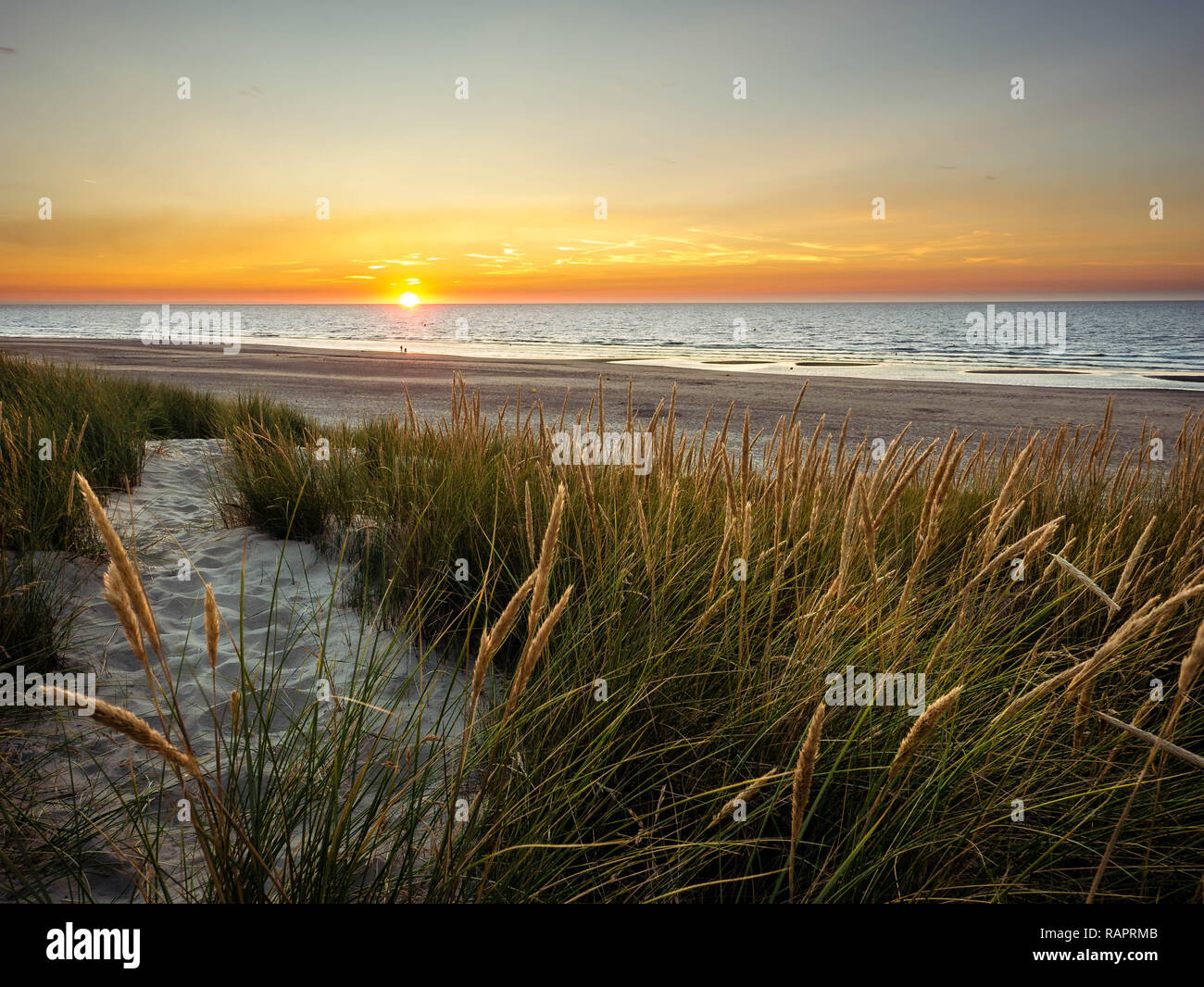 Sun setting in the sea in front off colorful marram grass covered dunes in northern France Stock Photo