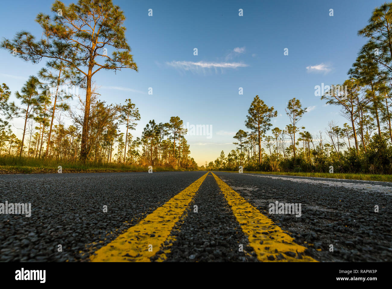 Empty road with trees on the side of the curb with double yellow lines ...