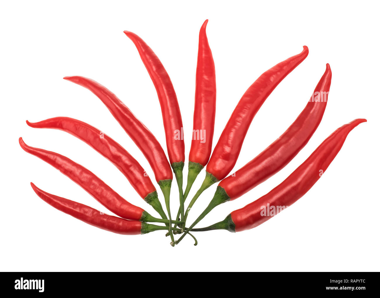 Chilli peppers, fanned out, isolated over white Stock Photo