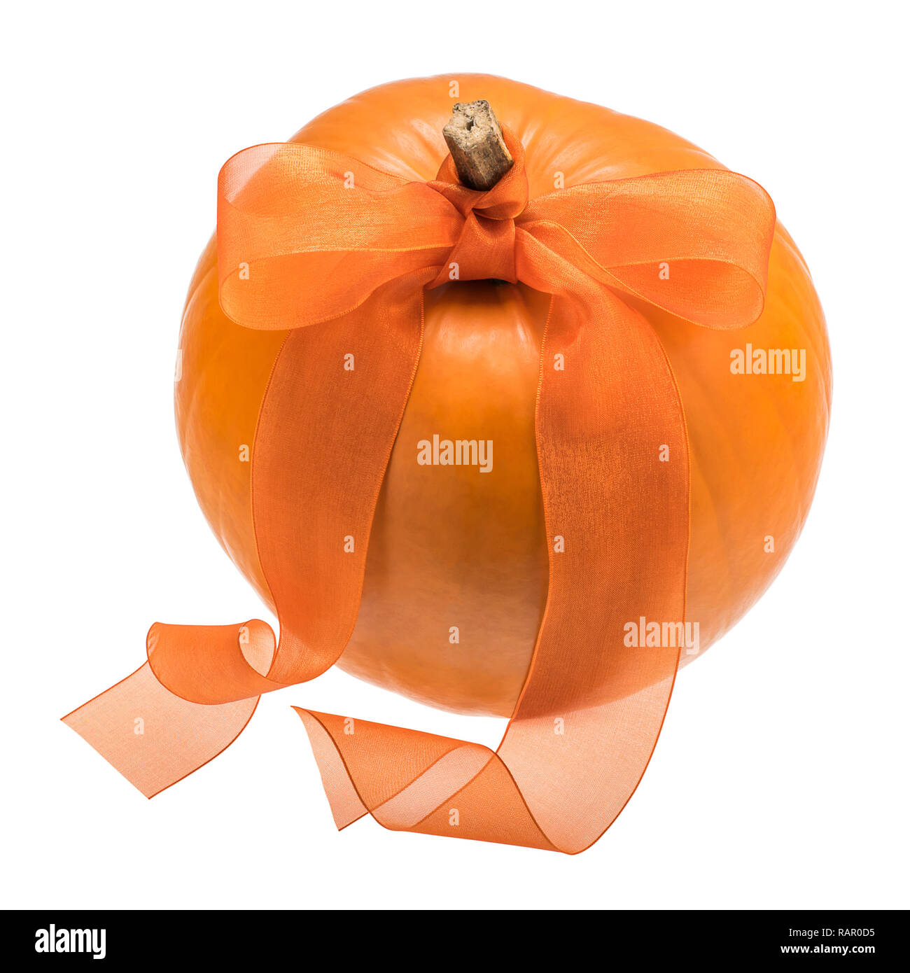 Orange pumpkin with bow Stock Photo