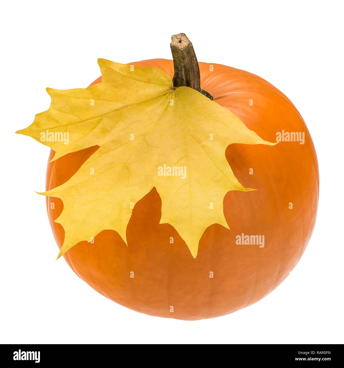 Orange pumpkin with yellow maple leaf Stock Photo