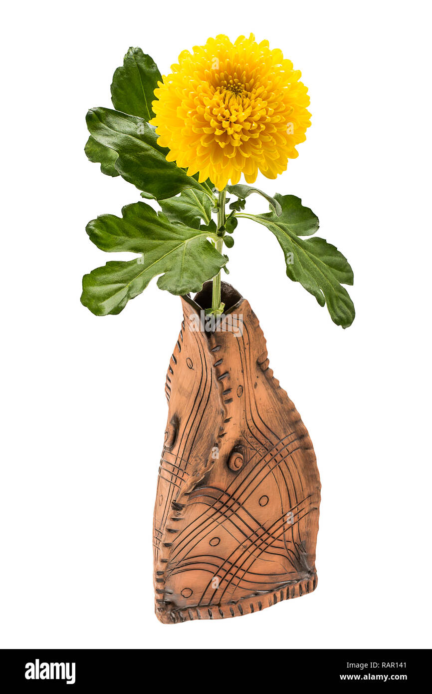 Yellow Chrysanthemum flower in vase Stock Photo