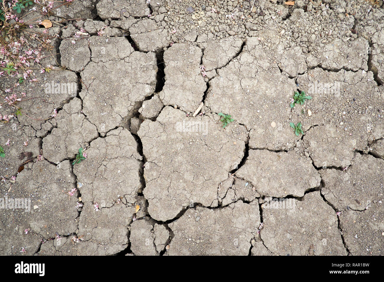 Parched, desiccated soil, a result of the unusually hot and dry summer weather experienced by the UK during June and July 2018. Stock Photo