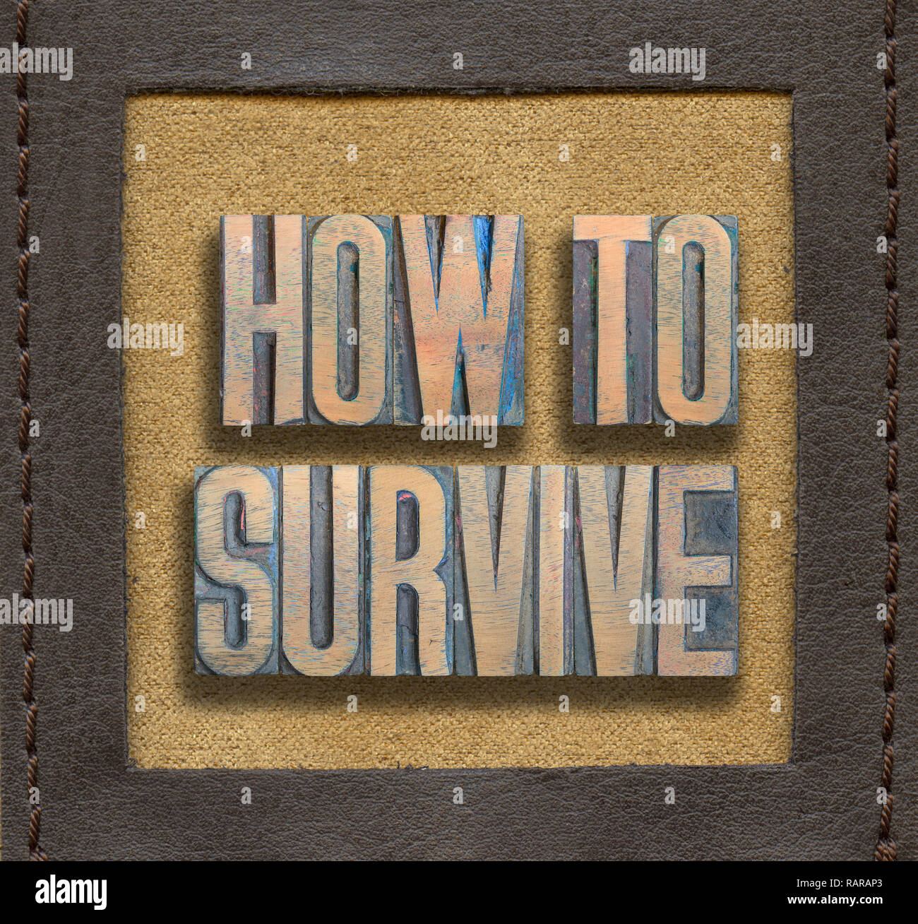 how to survive phrase made from vintage wooden letterpress inside stitched leather frame Stock Photo
