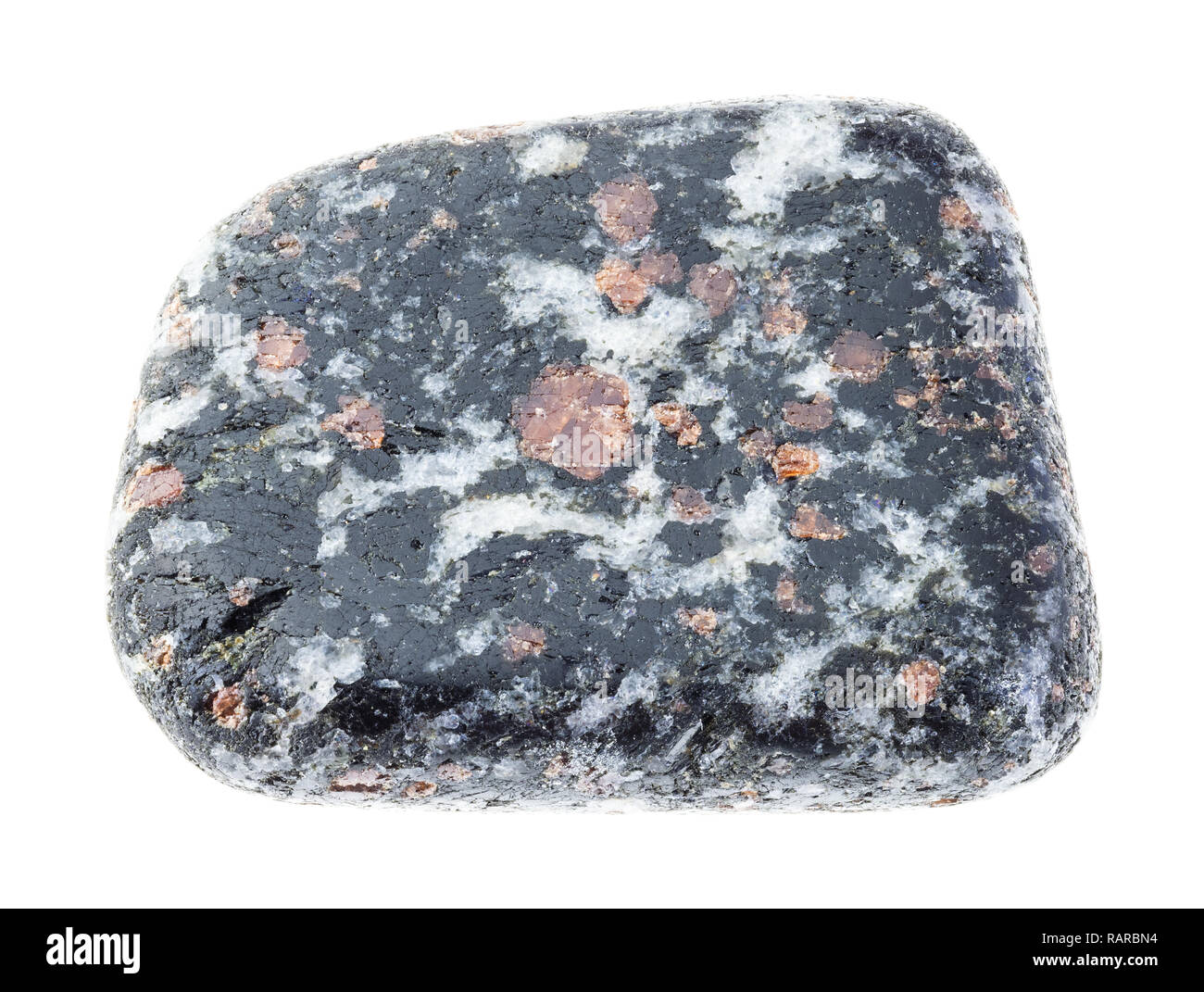 macro photography of natural mineral from geological collection - Garnet crystals in polished Hornblende (amphibole) stone on white background Stock Photo