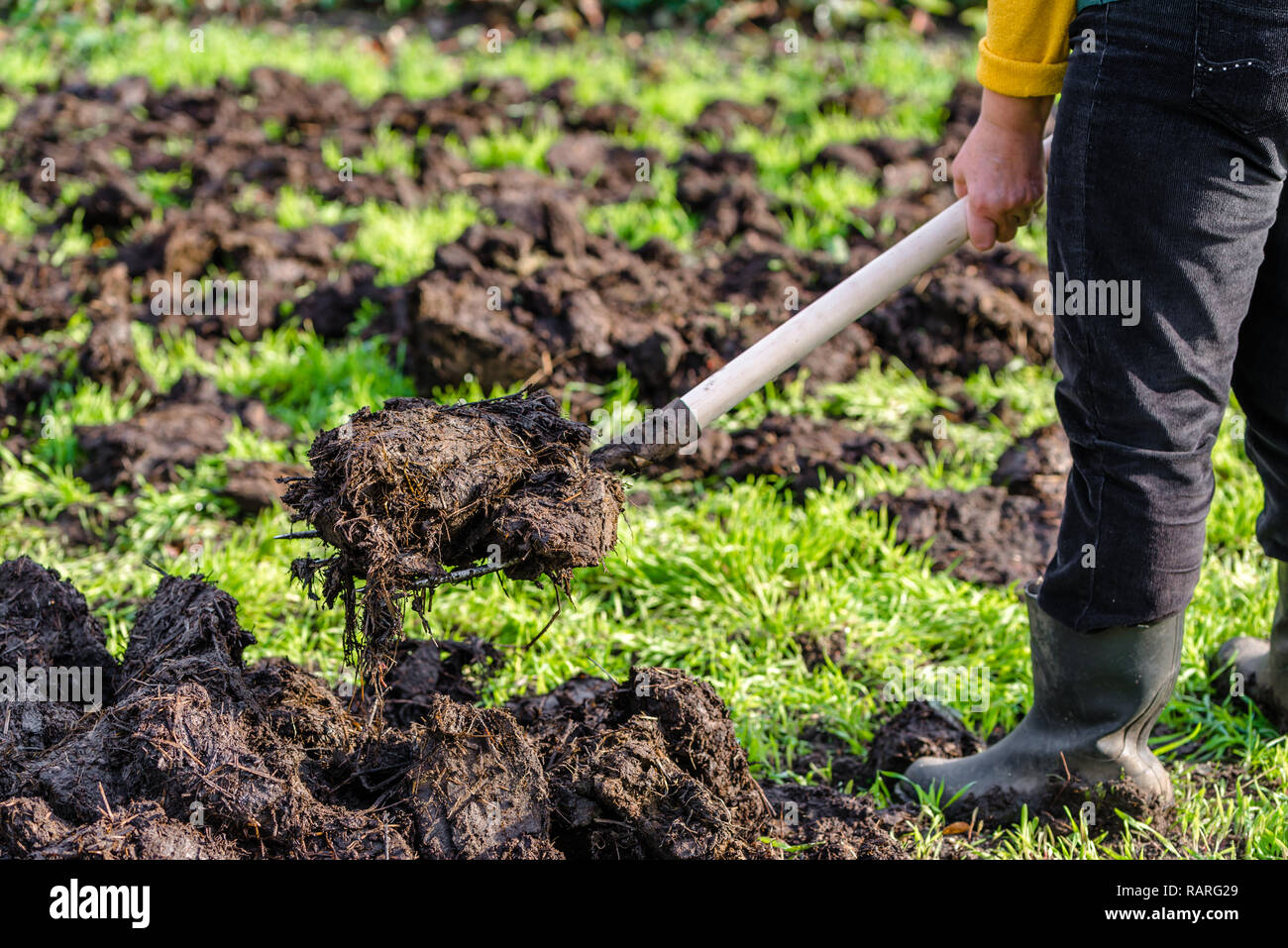 Farmer Working In The Garden In Spring Organic Fertilization Of