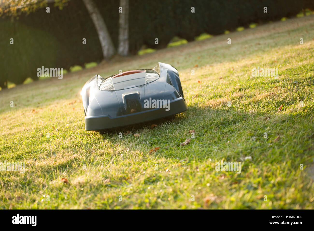 Automatic robot lawn mower cutting grass heading towards camera, angled