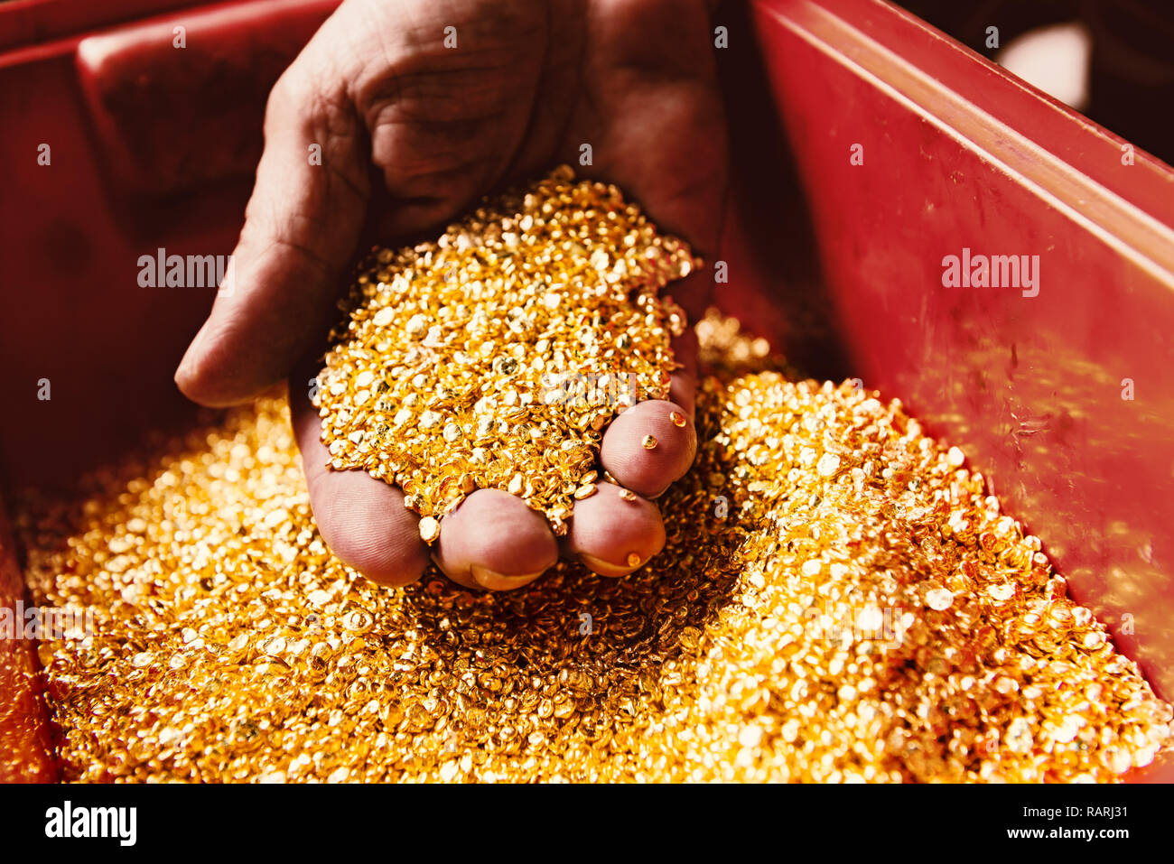 A lot of small gold nuggets in hand Stock Photo - Alamy