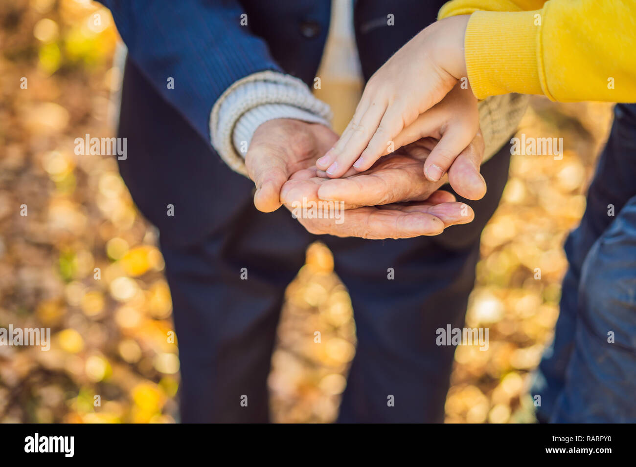 A child's hand holding the hand of an old man Stock Photo - Alamy