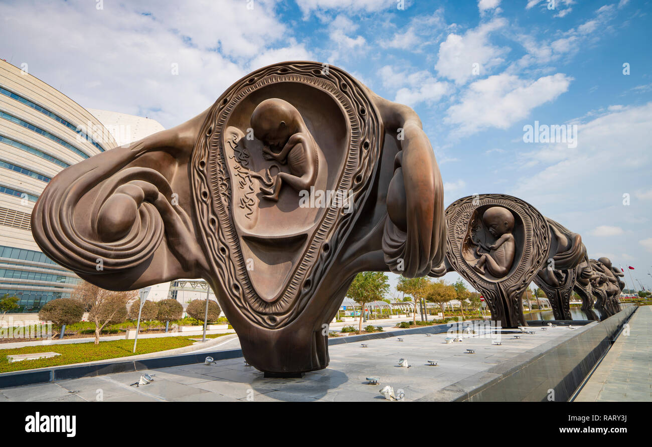 New Sculptures Showing Stages Of Childbirth In The Uterus At Sidra new-sculptures-showing-stages-of-childbirth-in-the-uterus-at-sidra