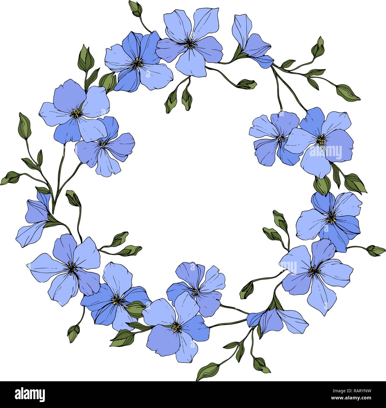 Vector. Blue flax. Floral botanical flower with green leaves. Engraved ink art. Frame floral wreath. Stock Vector