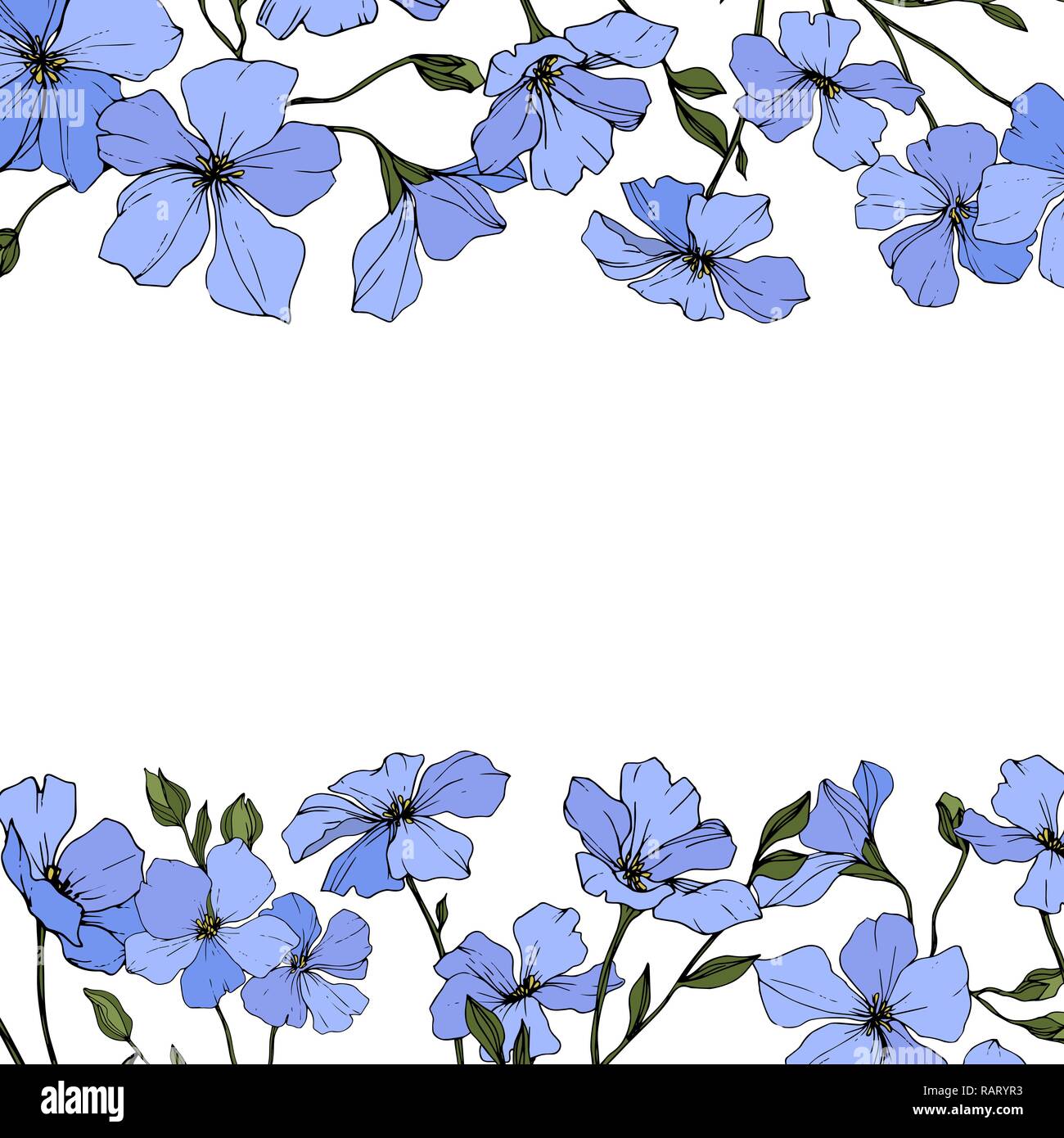 Vector. Blue flax. Floral botanical flower with green leaves. Engraved ink art. Floral flower border design. Stock Vector