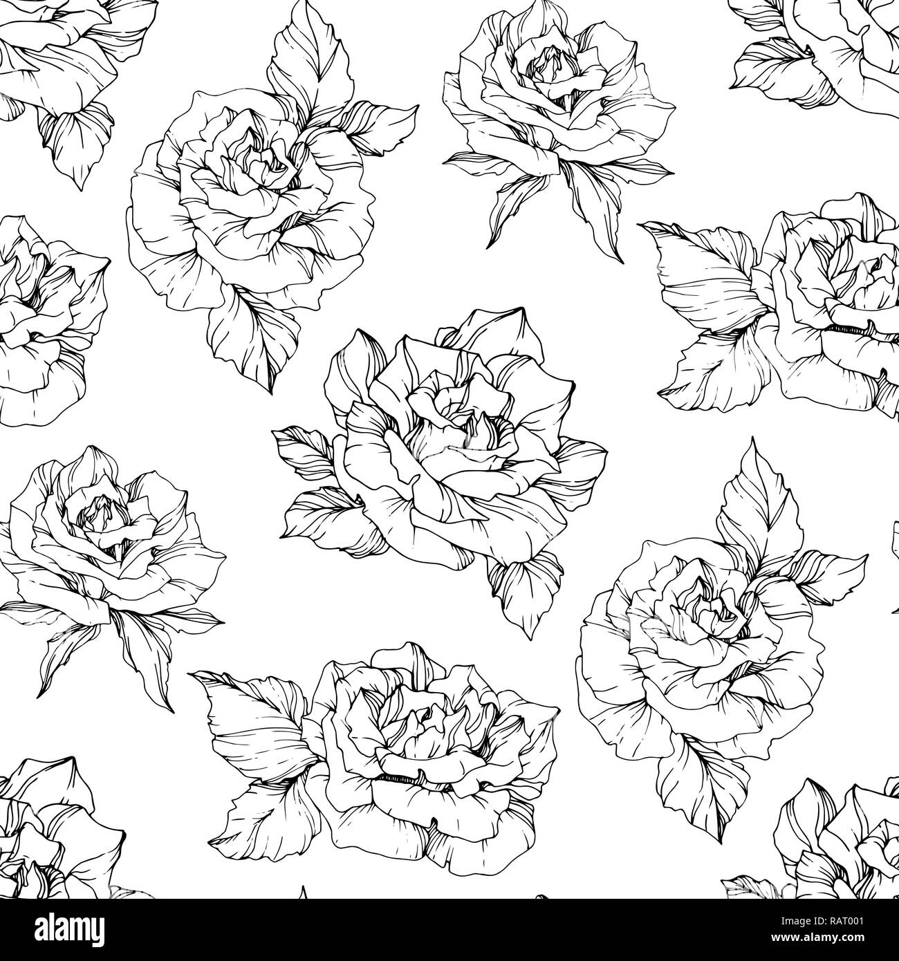 Featured image of post Black And White Rose Background Pattern