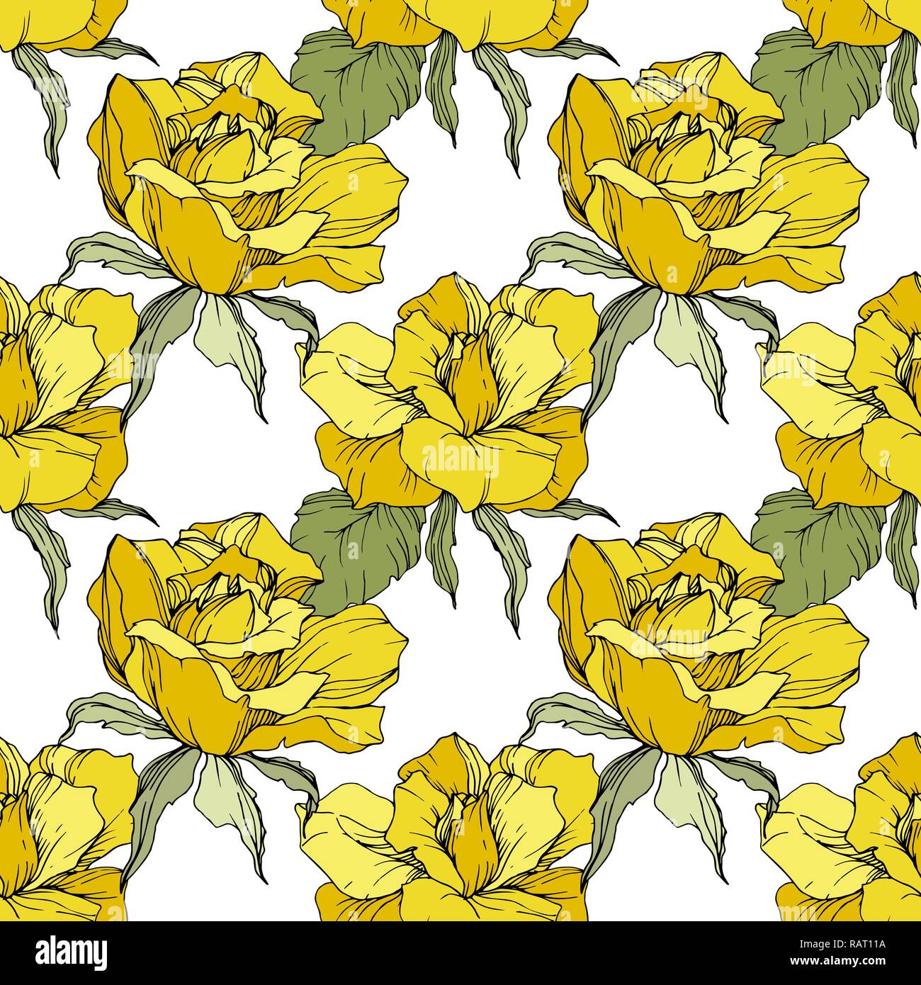 Vector Yellow rose. Floral botanical flower. Engraved ink art. Seamless