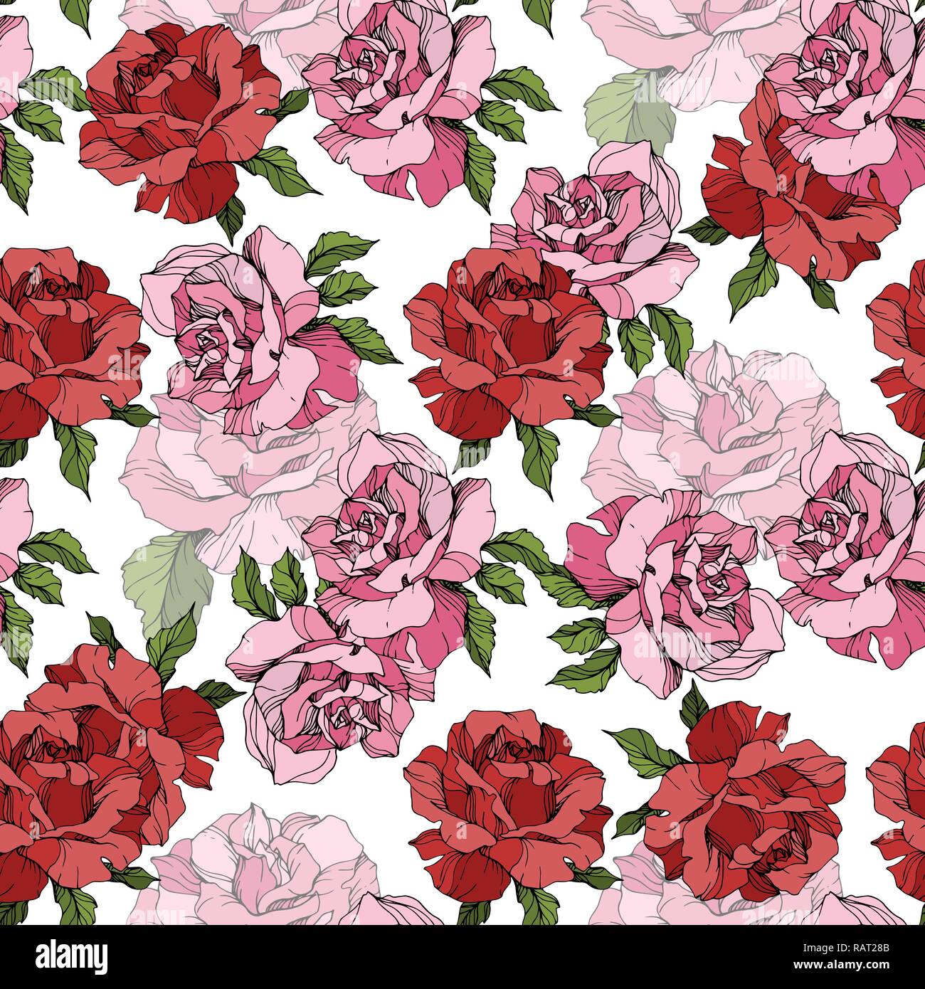 Vector Pink and red rose. Floral botanical flower. Engraved ink art.  Seamless background pattern. Fabric wallpaper print texture on white  background Stock Vector Image & Art - Alamy