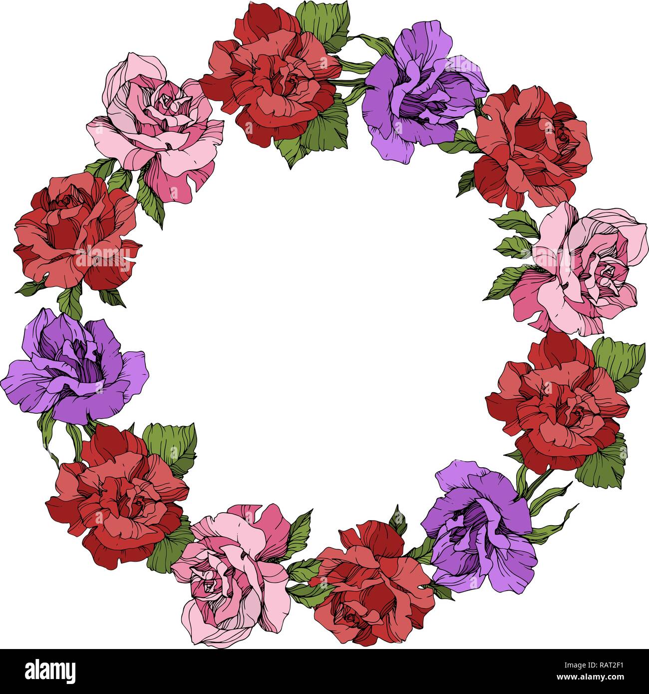 Vector Rose floral wreath on white background. Floral botanical flower