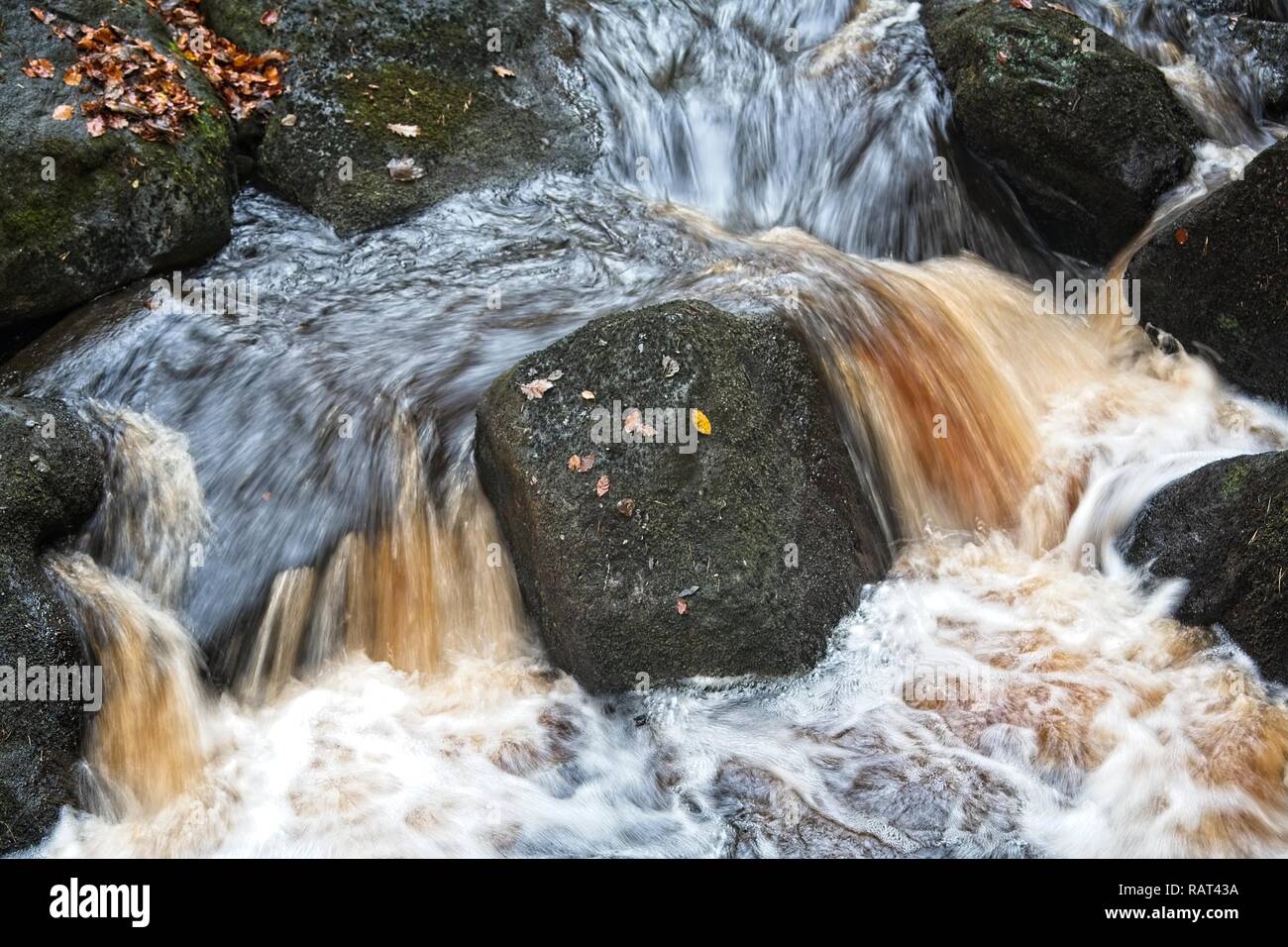 A fast flowing river in the Peak District National Park, UK. The erosive force of Burbage Brook through Padley Gorge is seen in its turbulant flow. Stock Photo