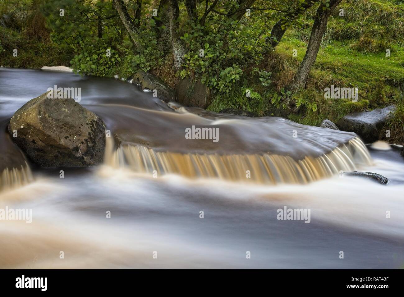 A fast-flowing river in the Peak District National Park, UK. The erosive force of Burbage Brook through Padley Gorge is seen in its turbulent flow. Stock Photo