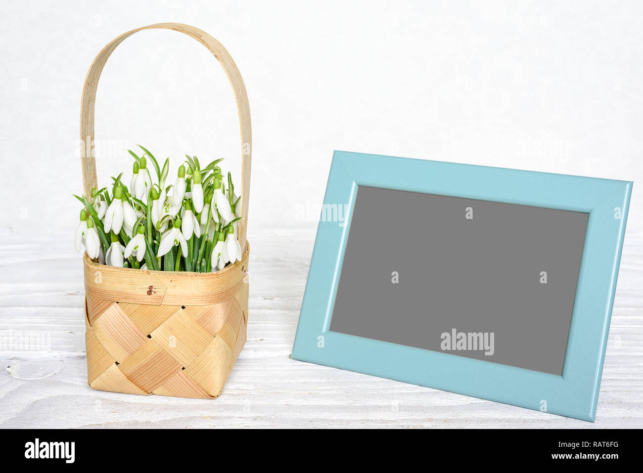 blank photo frame with spring snowdrops flowers in a wicker basket on white wooden table. mock up Stock Photo