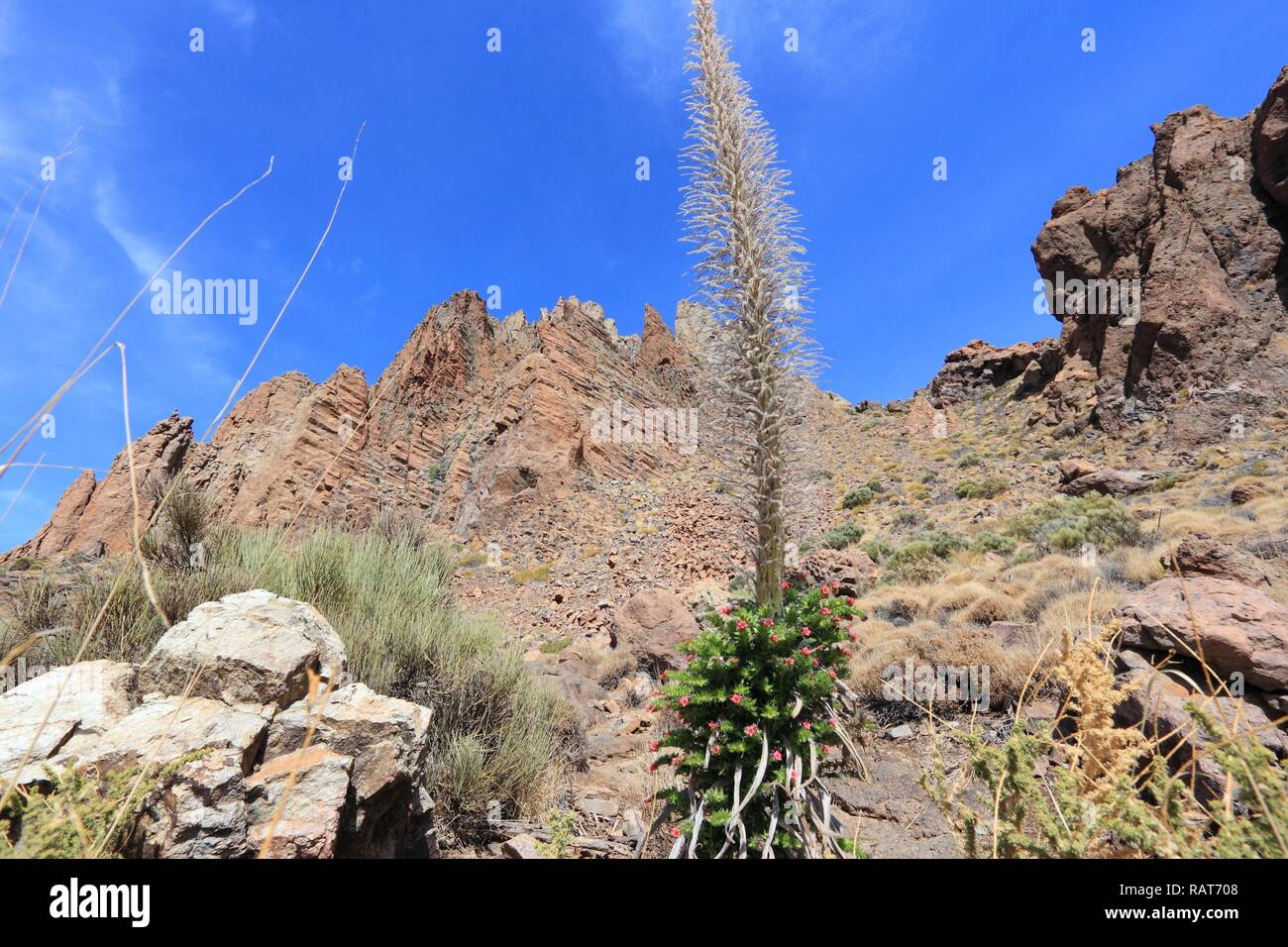 Tenerife, Canary Islands, Spain. Roques de Garcia - rock formations in ...