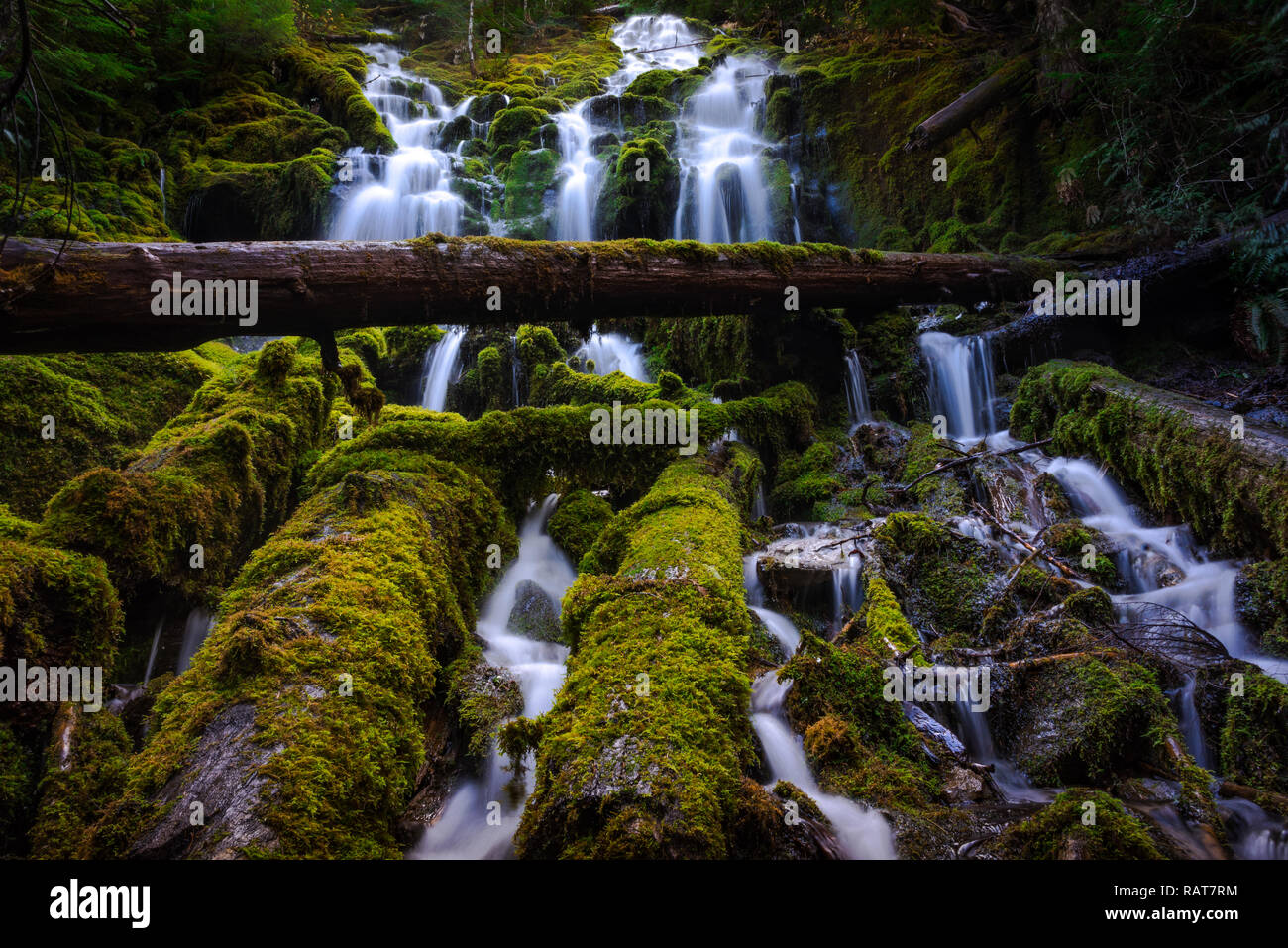 Fall scapes hi-res stock photography and images - Alamy