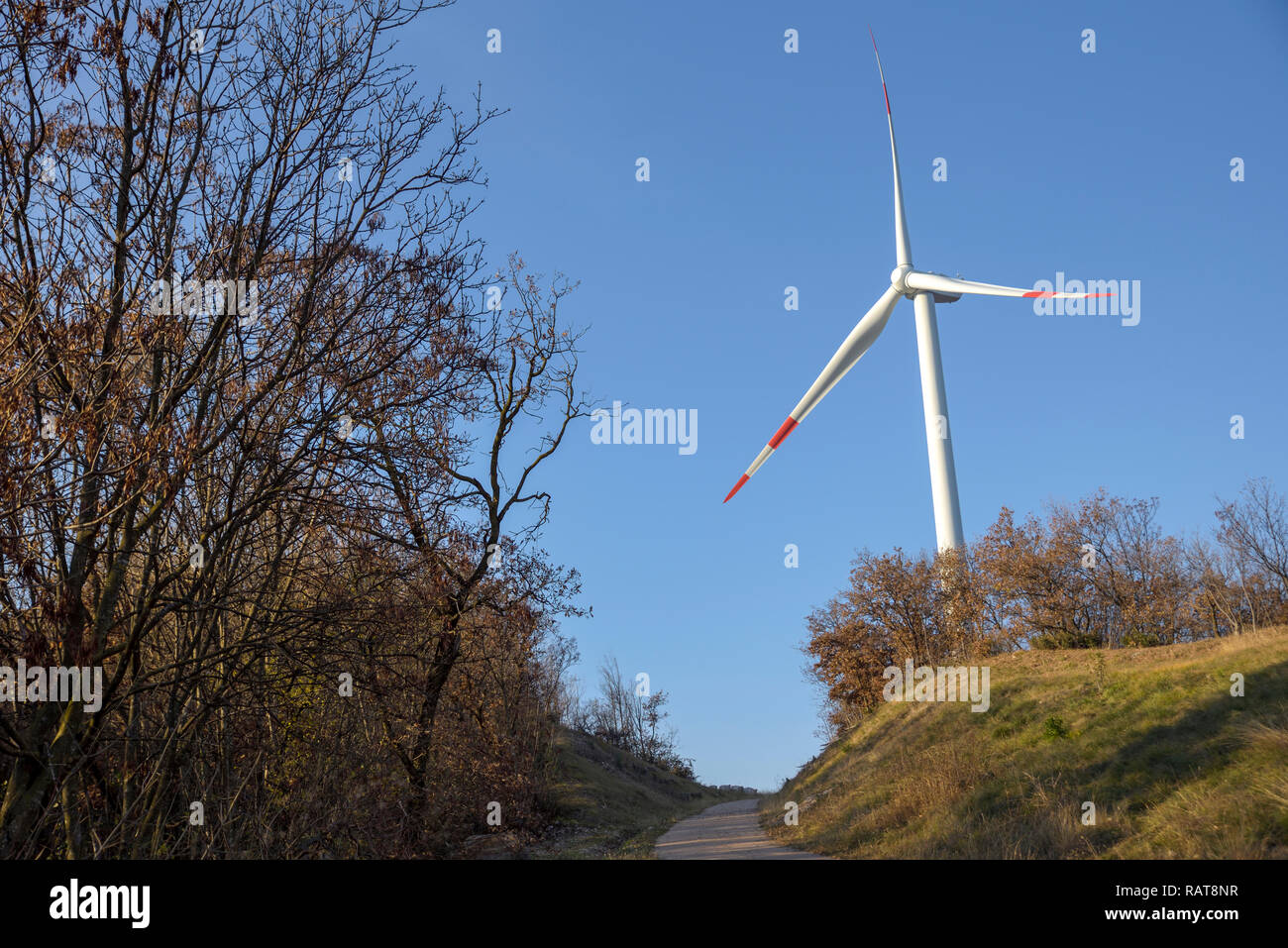 green-energy-wind-turbines-for-the-production-of-renewable-energy