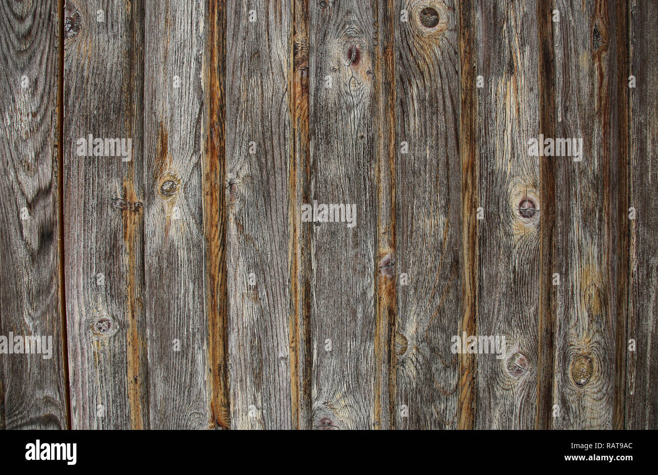 Wooden Wall Texture Wood Background Stock Photo Alamy