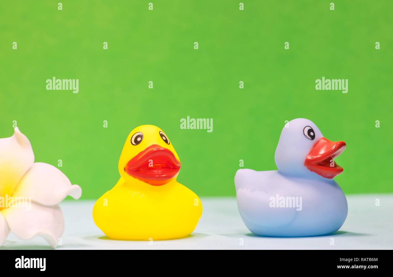 next rubber duck