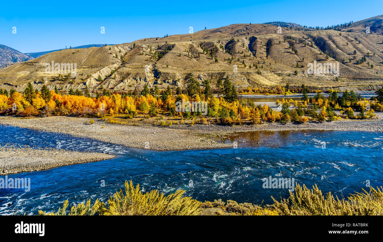 Fall colors surrounding the Thompson River, North of the town of Spences Bridge on the Fraser