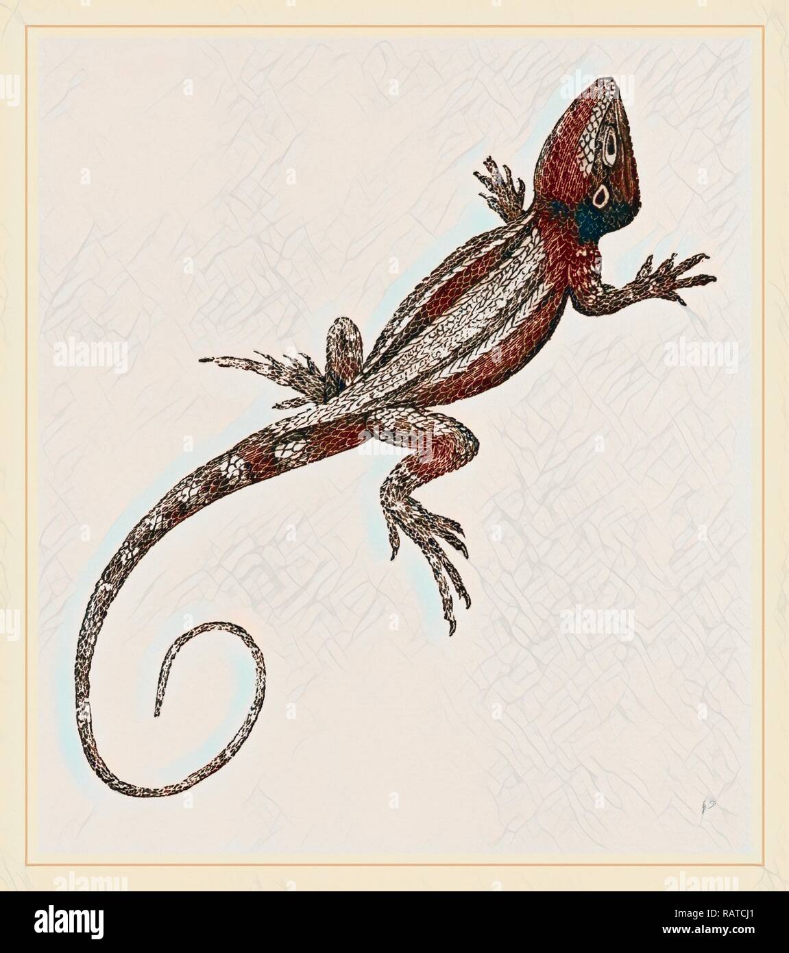 Muricated Lizard. Reimagined by Gibon. Classic art with a modern twist reimagined Stock Photo