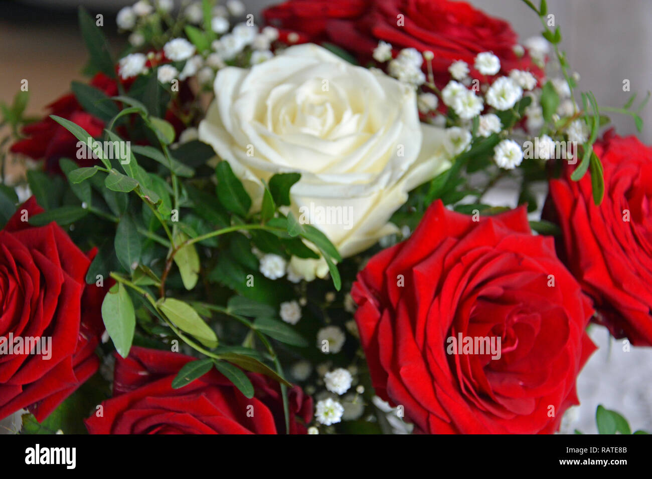 Weiss Rote High Resolution Stock Photography And Images Alamy