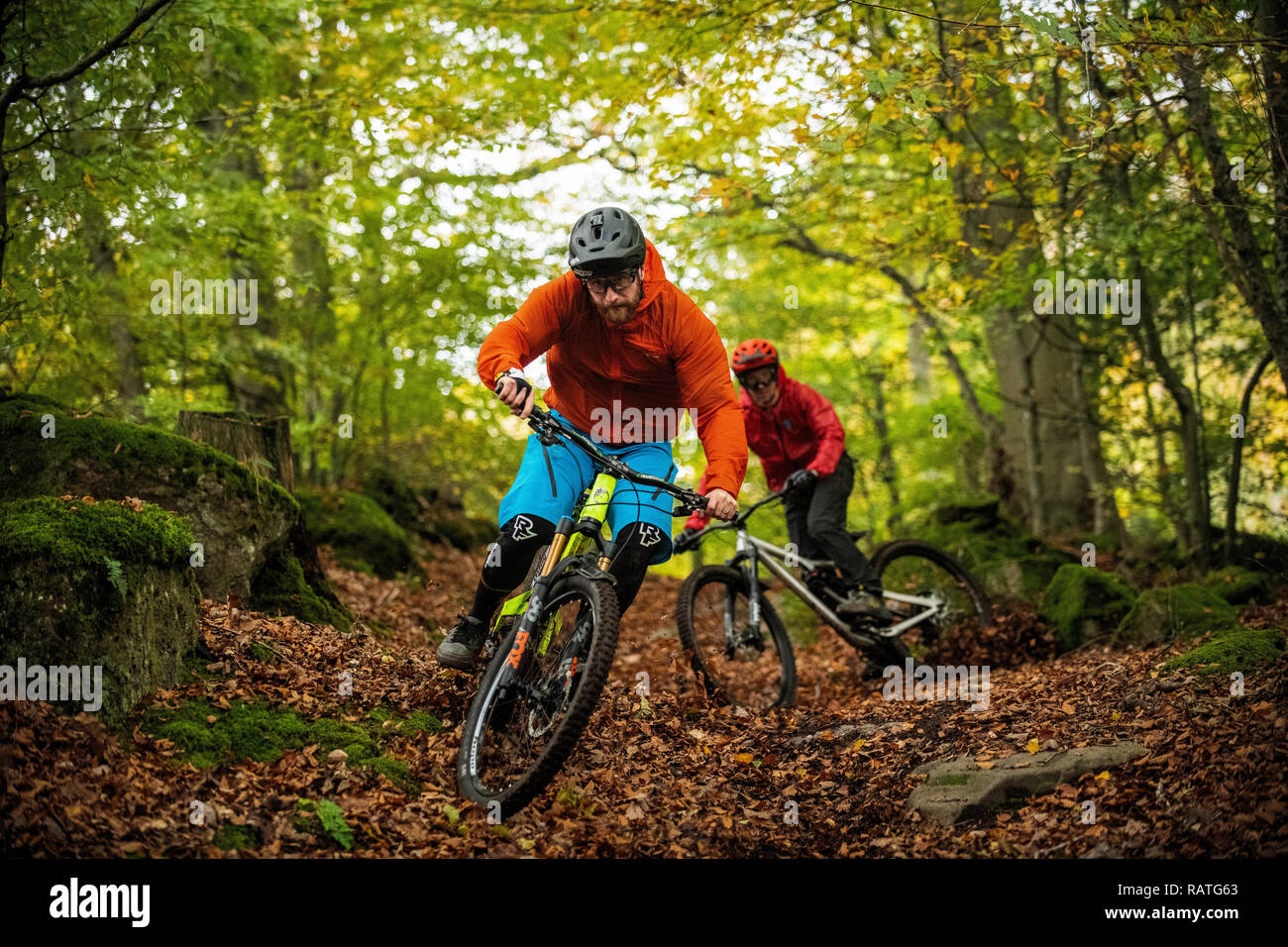 forest of dean bike trails
