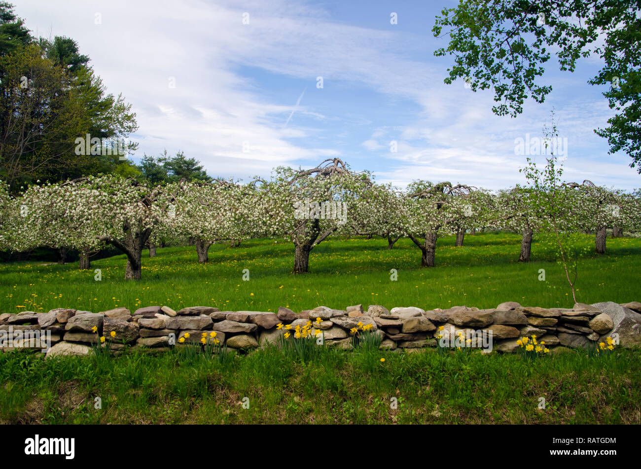 Grove orchard hires stock photography and images Alamy
