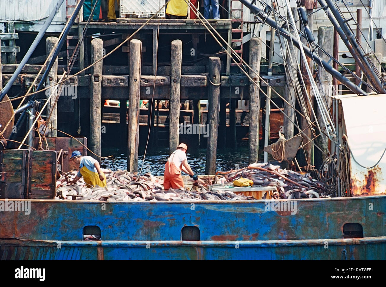 Trawler Inkerman Fisherman in trawler Stock Photo - Alamy