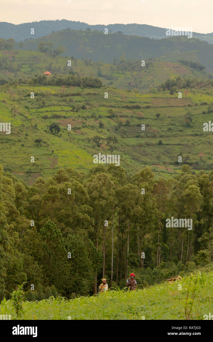 landscape beside Bwindi Forest National Park, Uganda