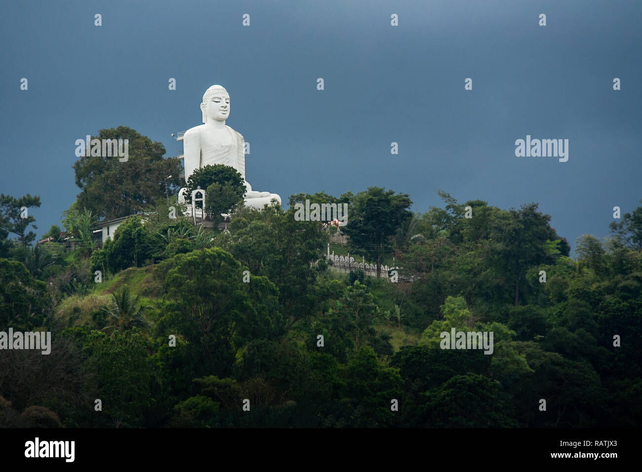The 26.83 m (88.0 ft) tall sitting Buddha statue at the Sri Maha Bodhi Viharaya temple, in Kandy, Sri Lanka. Stock Photo