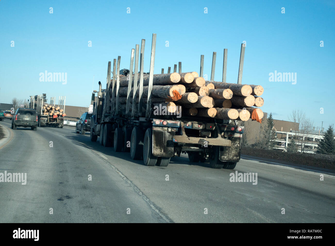 Logging truck carrying a load of wood logs probably for making pulp. Duluth Minnesota MN USA Stock Photo