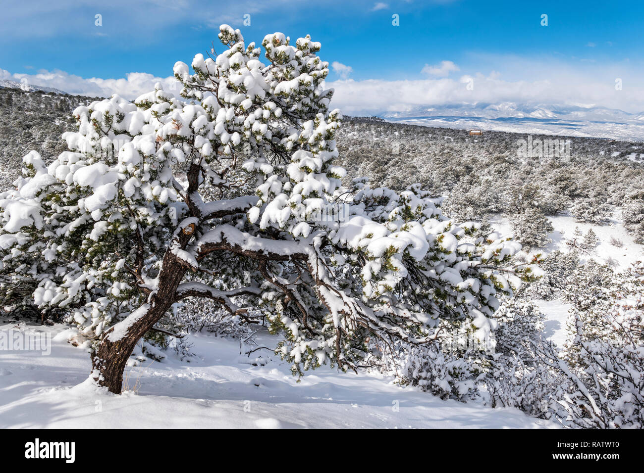 Aerial view of salida colorado hires stock photography and images Alamy