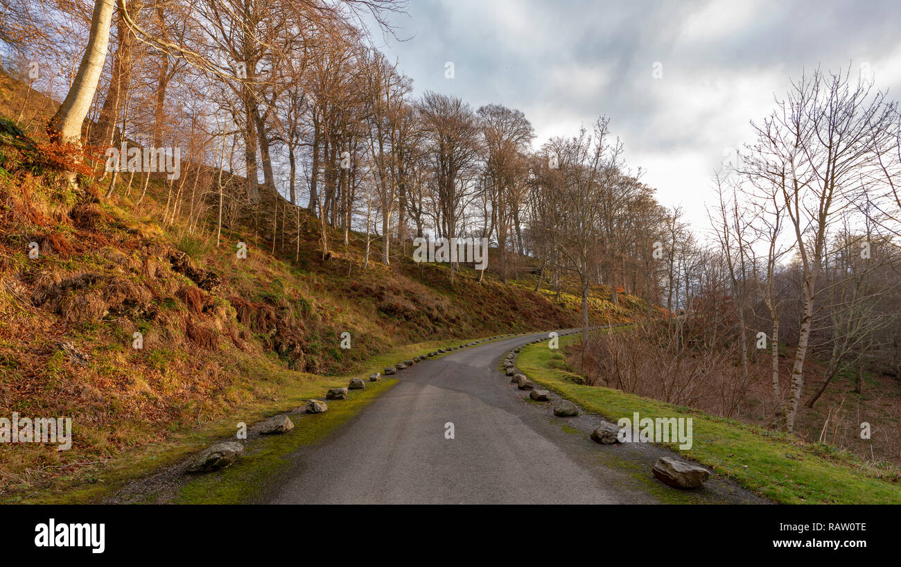 The driveway to Ballindalloch Castle, Banffshire, Scotland on a sunny winters day. Stock Photo