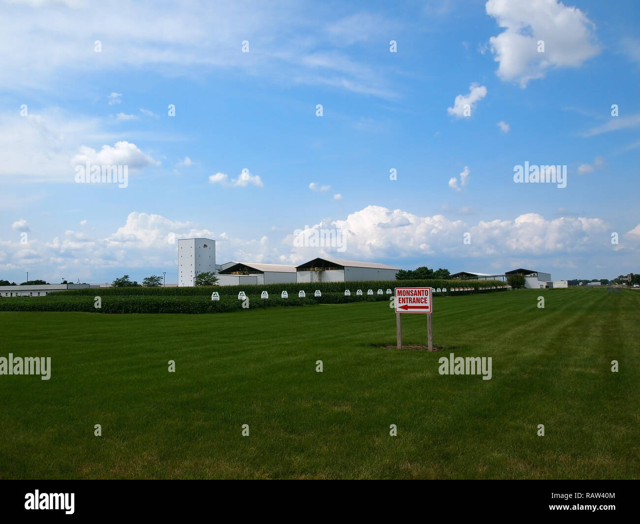 CONSTANTINE, MI JULY 29, 2018 A field of corn and bright green grass