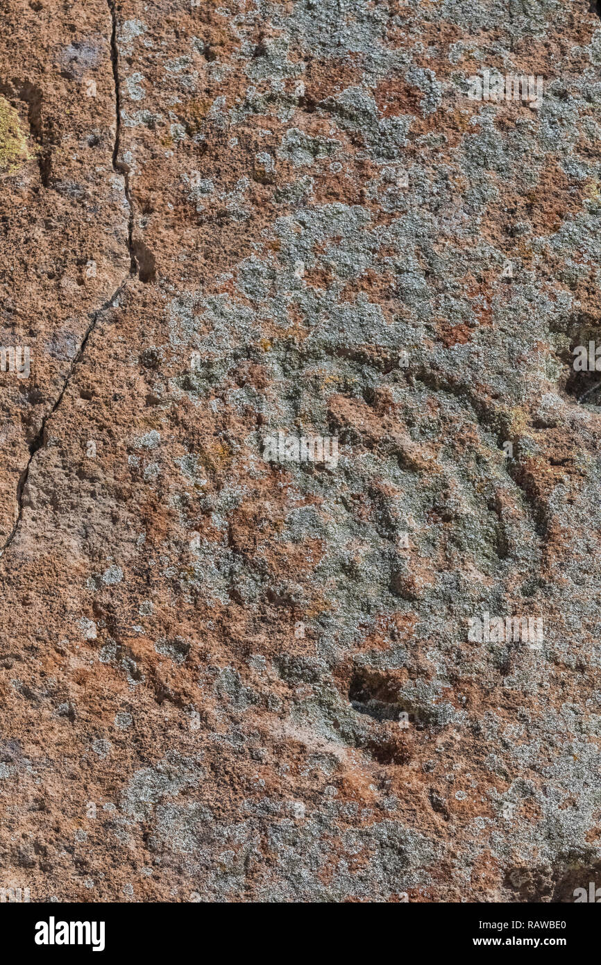 Petroglyph of concentric circles carved into sandstone by Ancestral Puebloan People and being decayed by lichens at the Tsankawi Prehistoric Sites in  Stock Photo