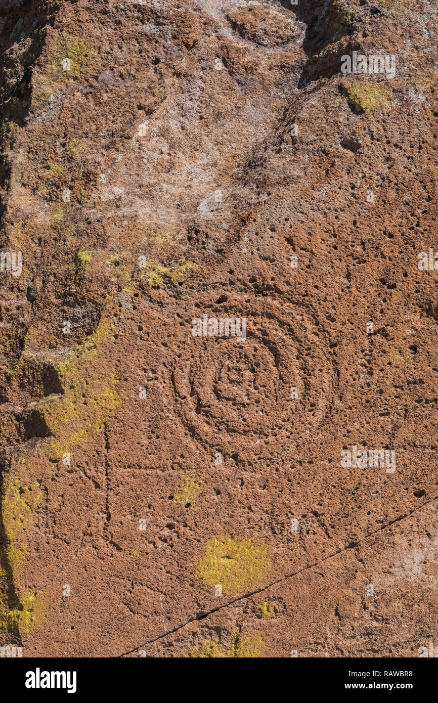 Petroglyph with spiral design carved into sandstone by Ancestral Puebloan People at the Tsankawi Prehistoric Sites in Bandelier National Monument near Stock Photo